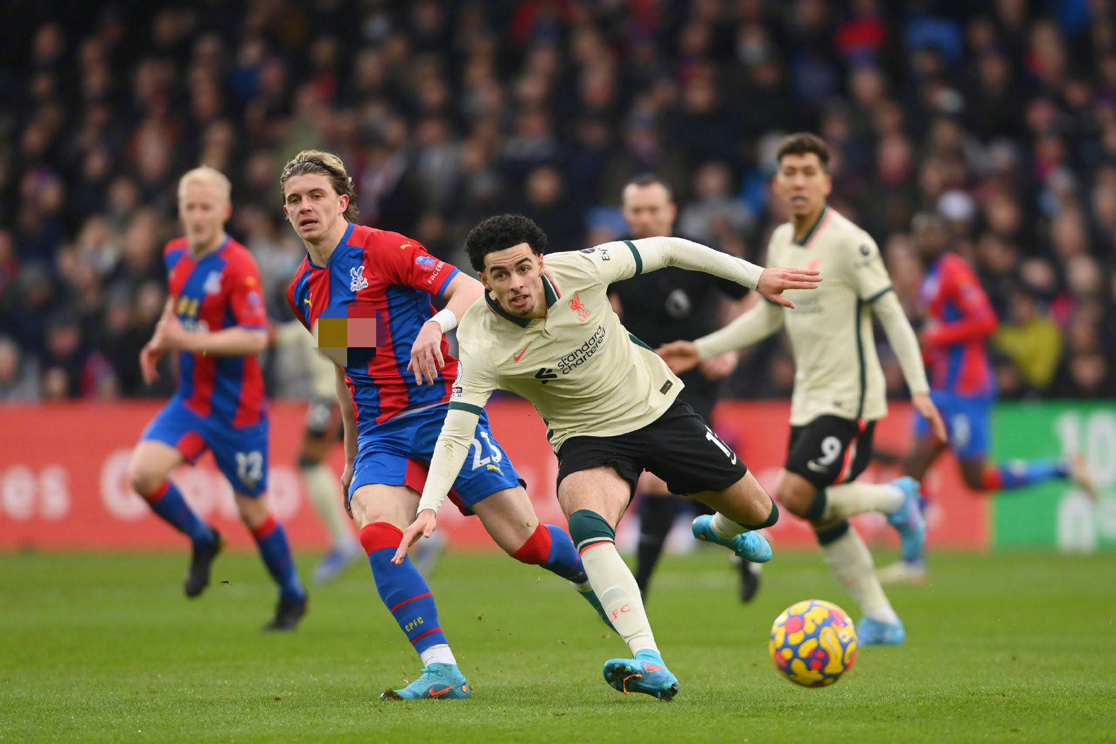 这一现象可 这一现象可